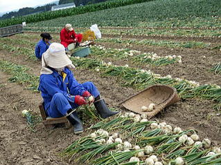 現場を支える外国人労働者